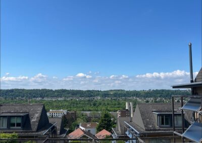 Traumwohnung Munchenstein
